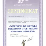 Сертификат_верт_Мишиева3
