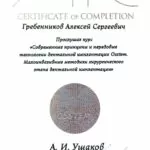 certificate_of_complition_grebnikov